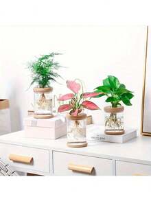 1pc Transparent Hydroponic Flower Pots Resembling Glass Small Flower Pots, Soilless Planting Small Pots, Green Plants, Resin Window Sills, Flower Pots, Garden Tool