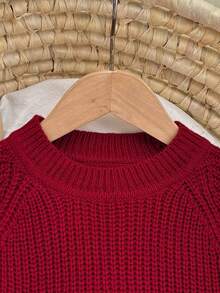 SHEIN Playful Pals 男婴圣诞时尚毛衣，适合秋冬季穿着