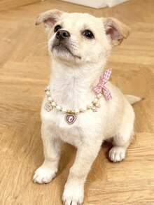 PETSIN 1 件装宠物爱心仿珍珠项链；颈围可调节；领结吊坠；心形吊坠；宠物配饰；宠物用品 - 彩色 - 查看 11