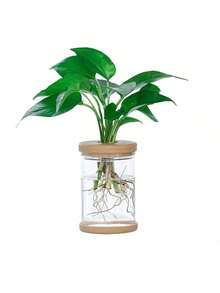 1pc Transparent Hydroponic Flower Pots Resembling Glass Small Flower Pots, Soilless Planting Small Pots, Green Plants, Resin Window Sills, Flower Pots, Garden Tool