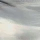 رمادي