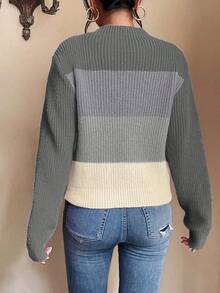 SHEIN LUNE 女式休闲宽松拼色圆领长袖毛衣，秋冬 - 灰色 - 查看 2