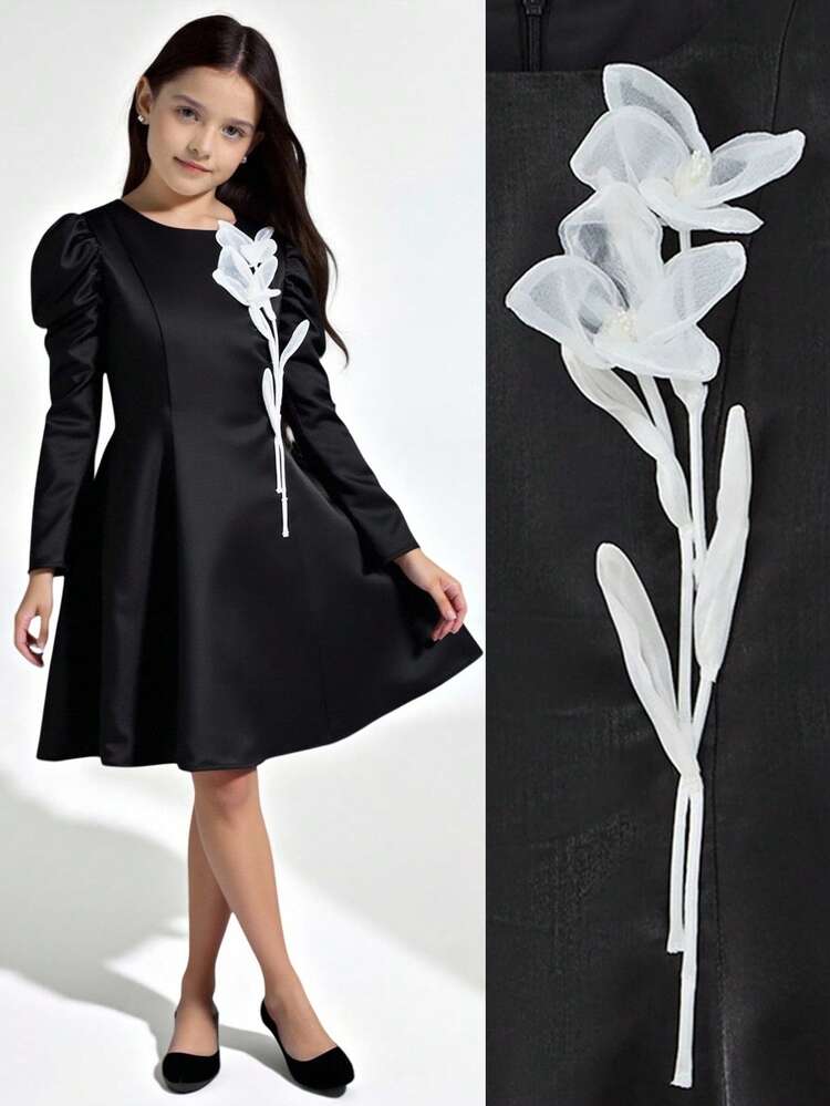 Tween Girls' Solid Color Floral 3D Embroidery Long Sleeve Round Neck Dress Fall Winter