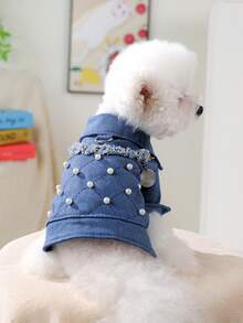 PETSIN 1 قطعة ملابس عالمية للقطط والكلاب الصغيرة، جاكيت مريح للخريف المبكر، ملابس خارجية للربيع والخريف والشتاء