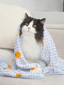 PETSIN 1 件蓝色格子橙色水果拼布宠物卡通法兰绒毯子，猫用品 - 彩色 - 查看 5