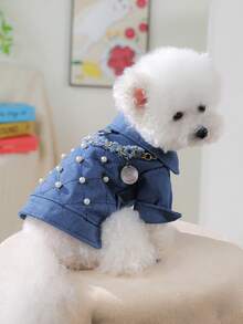 PETSIN 1 قطعة ملابس عالمية للقطط والكلاب الصغيرة، جاكيت مريح للخريف المبكر، ملابس خارجية للربيع والخريف والشتاء