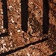 金色