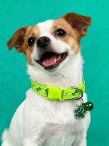 PETSIN 1条宠物骨头图案项圈；猫项圈；狗项圈；可调节颈围宠物吊坠项圈；宠物配件；宠物用品 - 彩色 - 查看 10