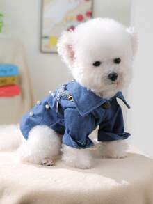 PETSIN 1 قطعة ملابس عالمية للقطط والكلاب الصغيرة، جاكيت مريح للخريف المبكر، ملابس خارجية للربيع والخريف والشتاء