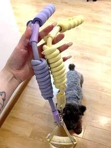 PETSIN 1 Piece Pet Dog Lead Universal Dog Walking Chain Anti-Explosion Shock Walking Dog Chain Nylon Round Rope Outdoor Dog Walking Rope Lead Pet Supplies - Multicolor - View 8