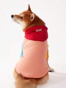 PETSIN 1件混色插肩袖休闲宠物狗连帽衫，适合日常穿着 - 彩色 - 查看 3