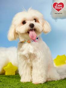 Care Bears X PETSIN 1 Piece Durable Dog Pet Printed Collar - Baby Blue - View 6