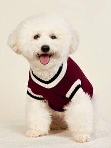 PETSIN 学院风酒红色可爱温暖厚实休闲宠物毛衣，适合猫狗，秋冬季 - 酒紅色 - 查看 6