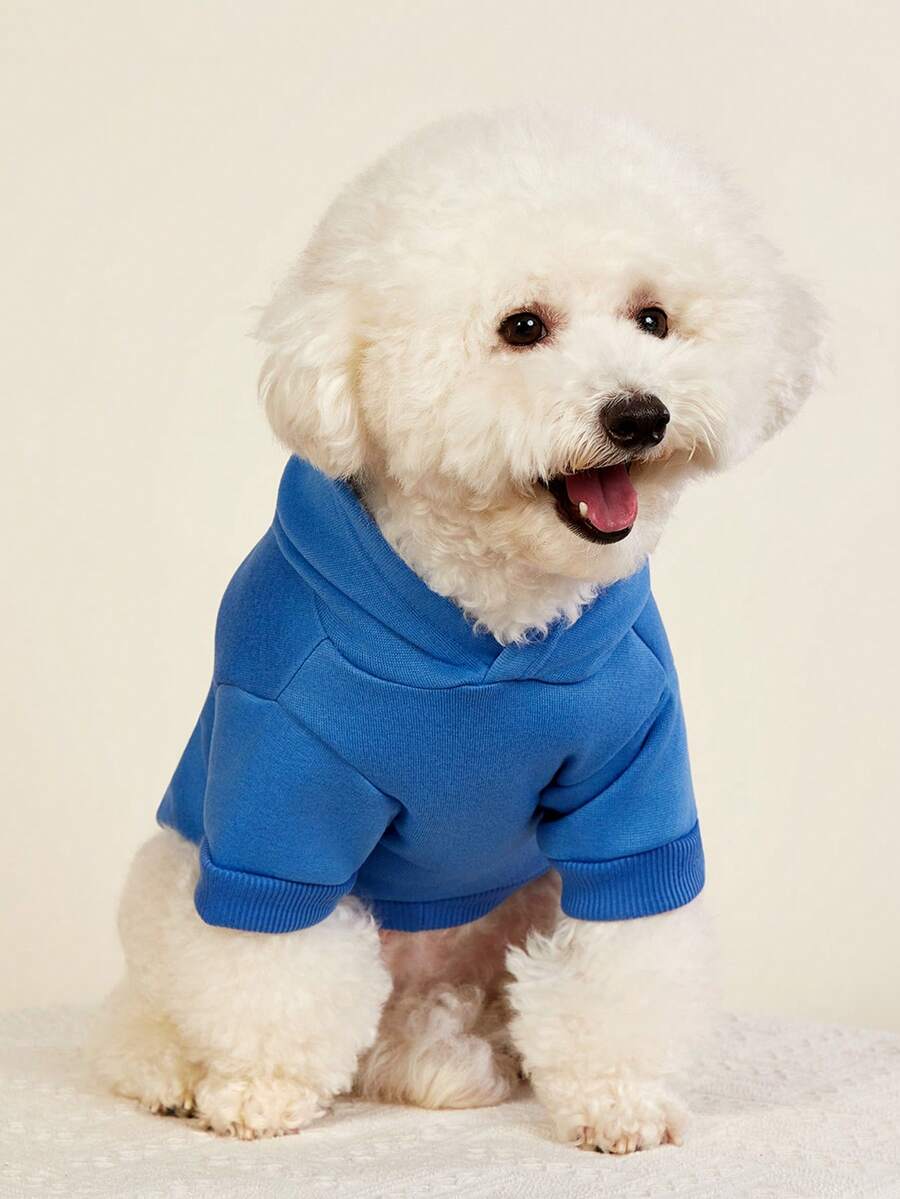 PETSIN 1 件纯色宠物连帽衫 - 适合春、秋、冬和凉爽夏夜的舒适四季穿着;非常适合日常散步、户外探险、室内休闲、旅行、节日聚会和节日拍摄 - 藍色 - 查看 1