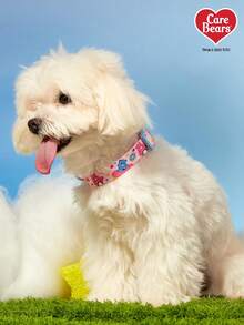Care Bears X PETSIN A Heart Bear Printed Pink Collar For Pet Dogs