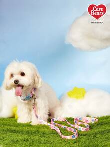 Care Bears X PETSIN 一款粉色狗绳，带有心形小熊图案，结实耐用。 - 粉色 - 查看 8