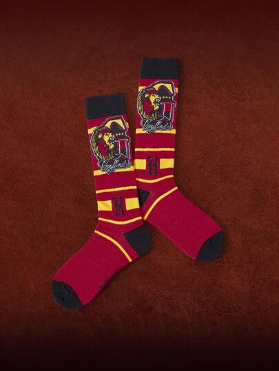 HARRY POTTER X SHEIN 1 par knästrumpor med logotyp och randigt mönster, färgblock, för kvinnor