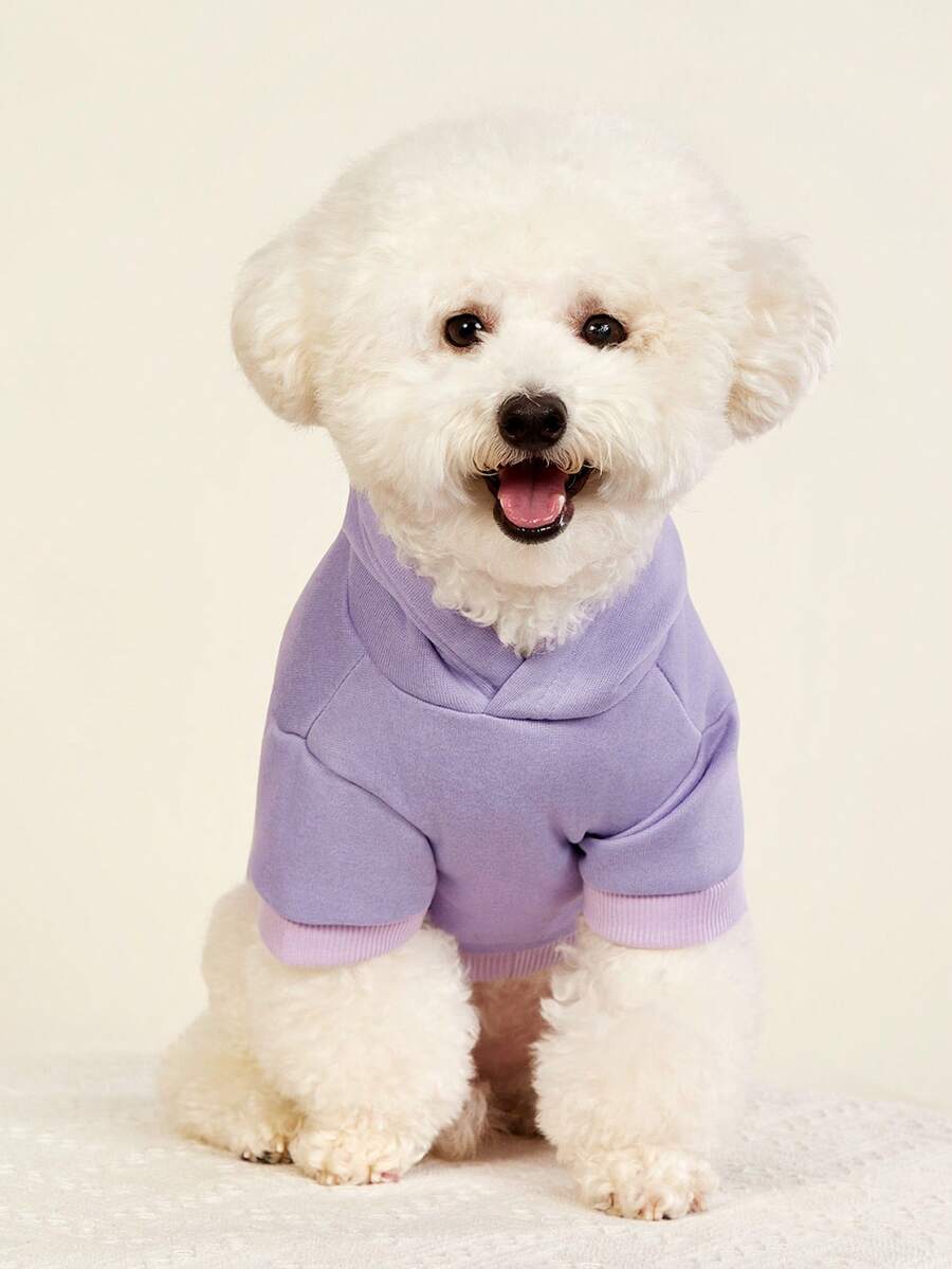 PETSIN 纯色宠物连帽衫 - 柔软舒适,适合春季、秋季、冬季和凉爽的夏夜;非常适合日常散步、室内休闲、户外探险、旅行、节日派对、节日拍照;为您的宠物提供温暖、舒适和时尚的保护 - 紫色 - 查看 1