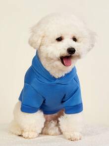 PETSIN 1 件纯色宠物连帽衫 - 适合春、秋、冬和凉爽夏夜的舒适四季穿着；非常适合日常散步、户外探险、室内休闲、旅行、节日聚会和节日拍摄 - 藍色 - 查看 10