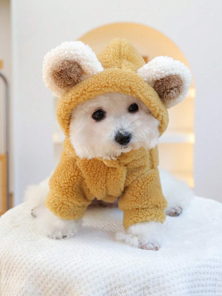 PETSIN 1 peça de roupa para animais de estimação, gatos e cães usam casacos grossos para o outono e inverno, roupa de transformação de urso de pelúcia marrom quente e fofo, moletom com capuz para o inverno - Cor de café - Ver 1