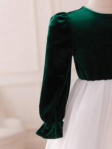 Glamorique Kids Baby Girl Autumn/Winter Velvet & Mesh Patchwork Dress, Elegant Design For Party & Occasion, Long Sleeve - Green - View 7