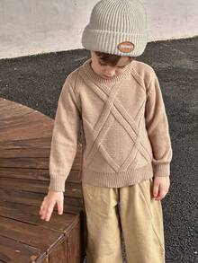 SHEIN Jersey De Punto Con Textura Para Niño Joven Tipo Pullover