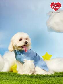 Care Bears X PETSIN 1 件圣诞宠物猫狗通用绿色钻石网格麋鹿雪花可爱图案提花针织弹力舒适狗圣诞毛衣