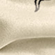 الأسود