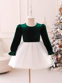 Glamorique Kids Baby Girl Autumn/Winter Velvet & Mesh Patchwork Dress, Elegant Design For Party & Occasion, Long Sleeve - Green - View 3