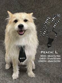 Beetlejuice X SHEIN 1 Set Cartoon Character Pet Collar & Leash Set, Multiple Sizes, Suitable For Cats, Dogs, Goth, Cosplay - Multicolor - View 2