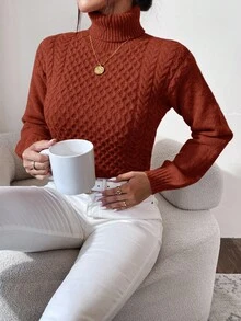 EURMUSE Turtleneck Cable Knit Sweater - Brown - View 5