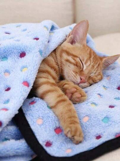 PETSIN 1入藍點珊瑚絨狗毯,適用於所有大小的狗狗,沙發和床罩,家用保暖墊