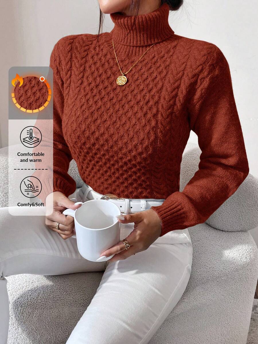 EURMUSE Turtleneck Cable Knit Sweater - Brown - View 1