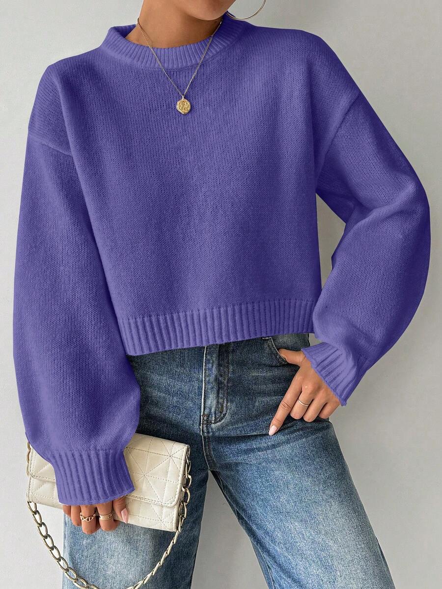 SHEIN LUNE 女式纯色简约休闲圆领长袖白色毛衣 - Bold Plum - 查看 1