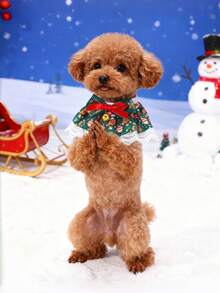 PETSIN 1 件宠物圣诞蕾丝项圈；宠物围兜；猫项圈；狗围兜；蝴蝶结铃铛项圈；宠物配件；宠物用品 - 彩色 - 查看 6