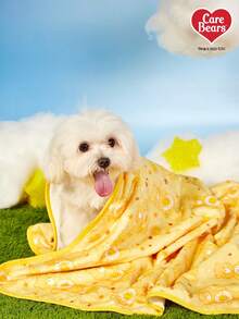 Care Bears X PETSIN 1件装宠物猫狗通用黄色小熊可爱图案印花毛绒保暖四季通用狗毯 - 黃色 - 查看 6