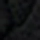 الأسود