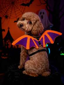 PETSIN 1 bộ trang phục Halloween hình cánh dơi cho thú cưng - trái cam - Xem 4