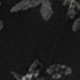 màu đen