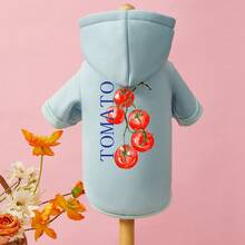 PETSIN 1pc Red Tomato Letter Printed Pet Hoodie With Hat Light Blue Autumn And Winter Thick Warm Windproof Home Pet Clothing