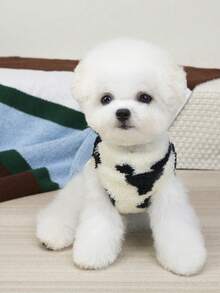 PETSIN Cute Plush Velvet Vest For Small Animals – Super Soft Windproof Autumn/Winter Dog & Cat Clothes, Stylish Cartoon Theme With Leash Buckle, Great For Photoshoots And Everyday Use - 黑色 - 查看 6