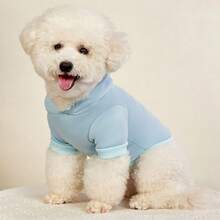 PETSIN 1pc Red Tomato Letter Printed Pet Hoodie With Hat Light Blue Autumn And Winter Thick Warm Windproof Home Pet Clothing