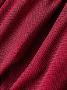 SHEIN MOD Women's Red Mesh Fitted Flare Sleeve Top Asymmetrical Neckline Ruched Detail - Burgundy - View 4