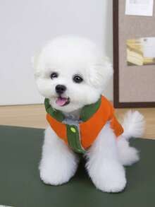 PETSIN 舒适秋冬宠物背心——可爱、透气、易穿，适合小型犬、猫咪和其他小型宠物，非常适合日常室内外穿着。 - 橘色 - 查看 4