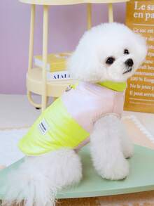 PETSIN ملابس الحيوانات الأليفة، معطف الكلب، سترة، ملابس قطنية للخريف والشتاء، ملابس للحيوانات الصغيرة، اكسسوارات سترة كاجوال للقطط المنزلية، لوازم الحيوانات الأليفة وأزياء عيد الميلاد وهالوين للكلاب