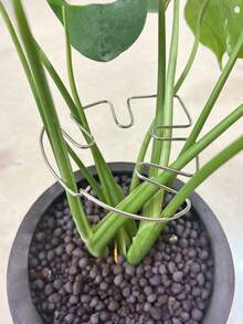 1/3/5 Reusable Metal Climbing Plant Stem Support Stakes – Unique-Designed Plant Stakes, Garden Decoration & Accessory, Flower Pot Ornament, Indoor Plant Trellis, Ideal For Plant Healthy Growth - Multicolor - View 5