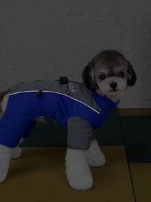 PETSIN 柔软加厚宠物连体衣 – 可爱的四脚抓绒睡衣，适合小型犬猫，秋冬季舒适玩耍和放松的服装 - 藍色 - 查看 2