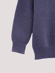 Open Phase 男士休闲纯色圆领长袖毛衣，美式街头风，宽松版型，短款，适合春秋冬季 - 紫色 - 查看 3