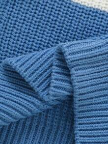 SHEIN Vintaside Kids 男婴可爱卡通刺绣毛衣，圆领设计呵护娇嫩肌肤，长袖套头衫方便穿脱，休闲简约风格打造宝宝时尚新宠，柔软亲肤面料陪伴宝宝快乐成长。 - 彩色 - 查看 7