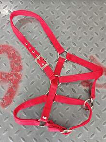 耐磨织带马缰绳、缰绳、马术缰绳、马厩装备、遛马牵引绳、织带缰绳